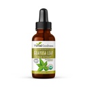 Guayusa Leaf Extract Hersen Focus - Natuurlijke Cafeïne Uithoudingsvermogen Drink Energie Supplement, Koffie Alternatief, Stress Relief - Biologische Kosher 1oz fles - Herbal Goodness