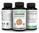 Siberisch Groen 5 Paddenstoelen Leeuwen Mane Chaga Shiitake Maitake Reishi - 60 Capsules