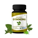 Gymnema 120 tabletten 