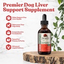Oude Pet Lever - Geavanceerde lever Ondersteuning Supplement voor honden - vloeibare levering voor betere absorptie - Melkdistel, Dandelion, Artichoke & meer!
