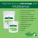 Stance Equitec VitaStance VitaStance Vita, Mineral and Amino Acid Supplement for Horses, 28,5 lb