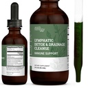 Earth Harmony Lymphatic Drainage Drops, Lymph Detox - Supplement met Soursop, Cat's Claw Bark, Astragalus, Wormwood, Lymph Node Detox, Lymphatische Ondersteuning Reiniging (2 Oz)