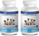hondenurine-incontinentie - DOG URINAIRE TRACT ONDERSTEUNING - NATUURLIJKE CRANBERRY OPLOSSING - BLADERGEZONDHEID - VOETGEBRUIK - bio cranberry extract voor honden - 2 Fles (180 Treats)