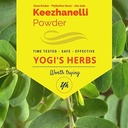 YOGIS REVS Keezhanelli Powder (Phyllanthus Niruri) 