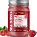 WELLNESS LABSRX Irish Sea Moss Gel Raw - Wildcrafted Superfood Seamoss Gel - Raspberry Smaak, Vitamine en Mineraal-Rijk van Pristine Caribbean Waters, Immune en Digestive Health Ondersteuning - 10 oz.