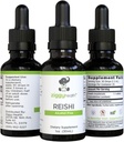 Reishi Mushroom Extract - Liquid Tinctuur - Supplement voor Immunity Defense & Brain Ondersteuning, Ondersteuning Gezonde Lever Functie, Energie Booster, & Slaap beter, 1oz door Ziggy Health
