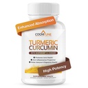 Biologische Kurkuma & Gember Capsules - Kurkuma Curcumine met Gember & BioPerine, 95% Curcumaids - Gezamenlijke, Digestie, Immuniteitsondersteuning, Black Pepper Extract voor Verhoogde Absorptie