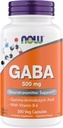 Nu Supplementen GABA 500 mg Capsules, Premium GABA Supplement voor Stress Relief, Vegetarisch, Veganistisch en Kosher Vriendelijk, Ideaal voor Balanced Brain Functie*, 300 Capsules
