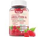 1 verpakking 3000 mg liposomaal Urolithine A 8-in-1 Gummies Supplement bevat CoQ10, Resveratrol, L-Carnitine, quercetine, vitamine C, astaxanthine, Mito & Cell Support, Anti-Aging, Metabolisme & Energy Boost