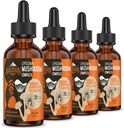 Liposomal Mushroom Complex Drops 2000 MG - 20 Biologische Paddestoel Extracten - Advanced Liquid Formula for Immunity, Cognitive and Memory - Lions Mane Supplement, Reishi, Cordyceps, Chaga, 120 Servings