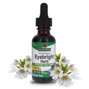 Het antwoord van de natuur Eyebright Herb 