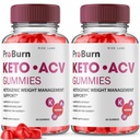 rize labs - Pro Burn Keto ACV Gummies, Advanced Formula Support gewichtsverlies, Alle natuurlijke Apple Cider Supplement, Keto + ACV Pro Burner Gummy (120 Gummies) (Pack of 2)