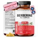 Premium Berberine Complex | Multi-Ingredient Botanical Blend with Cinnamon, Milk Thistle, NAC & Zinc | Daily Plant-Based Formula | Third-Party Lab Tested, Vegan, Non-GMO, Gluten-Free, 120 Capsules