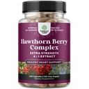 Hoge sterkte Hawthorn Berry Capsules - Pure Antioxidant Hawthorn Berry Supplement met Leaf & Flower Extract 4:1 voor gezonde hart en spijsvertering - energie-ondersteuning voor mannen en vrouwen - 240 Telpakket