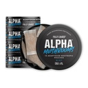 Volledig geladen Alpha Paddestoelen - Adaptogen Nootrope Zakjes (5-Pack, Mint) - Lion's Mane, Cordyceps, & Chaga - 75 Zakken Totaal (5 blikken, 15 zakjes per blik) - Functionele Paddestoelen - Made in the USA