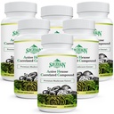 Actieve Hexose Correlated Compound 1500 mg Supplement, Natuurlijke 8 Paddestoel Extract Supplement, Immuunsysteem, Leverfunctie, Natuurlijke Killer en T Cellen Activiteit, 540 Veggie Capsules