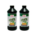 Clorofila Líquida con Menta 2 Pack (16 oz c/u) | Detox, Energía y Digestión | Liquid Chlorophyll with Mint | 2 Pack 16 oz ea | Detox, Energy & Digestive Support