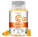 2 Pack Liposomal Vitamin C 2000mg Gummies Complex Rose Hips with D3 5000IU,Elderberry Echinacea,Iron & Zinc for Adults Kids Immune,Antioxidant & Collagen Support,Orange Flavor, 120Count