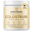 Colostrum Powder - Grass-Fed Bovine Colostrum Supplement for Gut Health, Immune Support, Energy & Muscle Recovery - Unflavored - 60 Servings - Colostrum Sourced in the USA