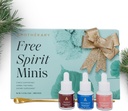 Apothékary Free Spirit Mins Set Nieuw Edition, Herbal Liquid Drops, Includes Wine Down, Rosé-Tinted Glazen, Take The Edge Off & 1 Gold Lepel, Sugar Free, 3 Flessen,15 Serves per Fles
