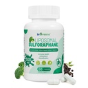 Liposomal Sulforaphane 500mg Supplement from Broccoli Extract with Quercetin, Black Pepper & Vitamin C – Antioxidant, Detox & Cellular Support, Cellular Health Formula for Men & Women, 60 Capsules
