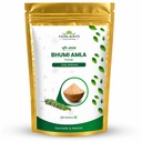 Organic Bhumi Amla Powder - Rich in Antioxidant Vitamin C - Supports Healthy Immune Function 100Gm (Pack of 1)