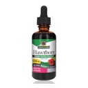 Antwoorden Biologische Hawthorn Extract 2 Oz - Alcoholarm, Glutenvrij & Kosher - Hartondersteuning - Ideaal voor Hawthorn Berry Tea