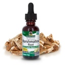 Nature's Answer Marshmallow Root Extract | Promotes Overall Good Health & Well-Being | Certified USDA Organic | Alcohol-Free, Gluten-Free & Kosher Certified 1oz
