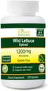 Wilde sla Extract 1200 mg Serveer 120 plantaardige capsule Gelatine Vrij Made in USA Most Potent Lactuca Virosa Vegan and Non-GMO