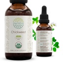 Chickweed B60 USDA Organic Tincture 