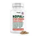 Vitapia Nopal Cactus Extract voor Antioxidant, Huid, Metabolisme, Wellness, Hartgezondheidsondersteuning - 60 Multi Capsules - Niet GGO, Glutenvrije supplement