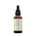 HerbEra Stone Breaker Formula B60 Alcohol-Free Extract Tincture: Stonebreaker Herb, Burdock Root, Horsetail Herb, Hydrangea Root, Uva Ursi Leaf, Dandelion Root. Stone Breaker Formula 2 Fl Oz