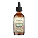 Earthley Wellness Nourish Her Naturally, Liquid Botanical Multivitamin for Women with Raspberry Leaf, Dandelion Leaf, Alfalfa, and Nettles, Supports Energy, Gut Health, and Wellness (4oz, Nourish Her)