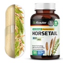 BIO KRAUTER Horsetail Herb Capsules - 800 mg Sterkte - 100 Telling - Horsetail Powder Capsules - Haarsteun