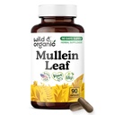 Wild & Organic Mullein Capsules - Mullein Leaf Extract for Lungs - 90 Vegan Capsules - Herbal Cleanse & Detox - 90 Days of Supply - No Fillers, Non-GMO, Gluten-Free
