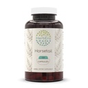 HerbEra Horsetail 120 Capsules, 1000 mg, Horsetail (Equisetum arvense) Dried Herb (120 Capsules)