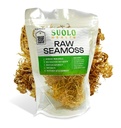 Raw Sea Moss 2oz - Wildcrafted Honduran Seamoss 100% Natural | Dr Sebi Digestive Health Gut Detox for Seamoss Gel