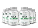 Organics Ocean Wild Sea Moss Capsules - 100% Organic Irish Sea Moss with Organic Chlorella, Bladderwrack and Vitamin D for Energy, Lung Health and Thyroid Support for Women and Men - 6 Bottles