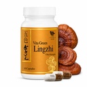 Vita Green Lingzhi Mushroom Supplement (五色靈芝) – Pure Reishi with Natural Antioxidants for Wellness, Energy, and Immune Support for Men & Women – 10 Capsules