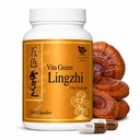 Vita Green Lingzhi Mushroom Supplement (五色靈芝) – Pure Reishi with Natural Antioxidants for Wellness, Energy, and Immune Support for Men & Women – 240 Capsules