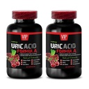 Uric Acid Reducing Ingredients - URIC ACID FORMULA - Pomegranate Uric Acid, Devil’s Claw Root for Support, Uric Acid Healing Formula, Uric Acid Formula with Tart Cherry, Milk Thistle 2 Bottle