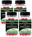 Nikoni Liposomal Zeolite, Activated Charcoal & Organic Chlorella, Supports Full Body Detox (480 Softgels)