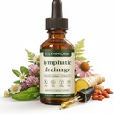 BUN BONS Lymphoria Lymphatic Drainage Wellness Drops, Natural Herbal Blend for Lymphatic System Support, Vegan & Non-GMO, 1 Fl Oz (1) (1)