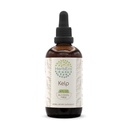 Kelp B120 Alcohol-Free Herbal Extract Tincture, Concentrated Liquid Drops Natural Kelp (Ascophyllum nodosum) (4 fl oz)