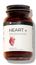 Natuurlijke Blood Pressure Support Supplement voor de gezondheid van het hart en Circulatie Doctor-Approved met 200 mg CoQ10, Hawthorn Berry, Beet Root, Kurkuma 90 Capsules