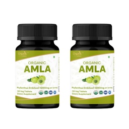 ORGANIC SPREE Amla Tablets - 1200 mg per Serving - Indian Gooseberry, Phyllanthus Emblica Supplement, Rich in Vitamin C & Supports Immune Health,120 Tablets* - GMP and Organic Certified - Pack of 2