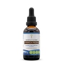 Secrets of the Tribe Chanca Piedra Alcohol-Free Tincture Extract, Chanca Piedra (Phyllanthus niruri) Dried Herb Tincture Supplement (2 FL OZ)
