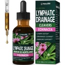 Cleavers Herb Extract Lymphatic Drainage Drops, Herbal Lymph System Support with Echinacea & Cat’s Claw, Botanical Liquid Formula for Immune Support and Daily Wellness Routines, 2 oz