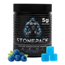 STONEPACK Creatine Gummies – The Only Lab-Verified 5g Creatine Monohydrate | Plus B12 for Energy, Accurate Dosing, Sugar-Free, Vegan, Gluten-Free | 120 Count Blue Raspberry Flavor