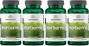 Swanson Berberine Supplement - 400 mg Elke 60 capsules - Berberine HCl met algemene wellness ondersteuning (4 verpakkingen)